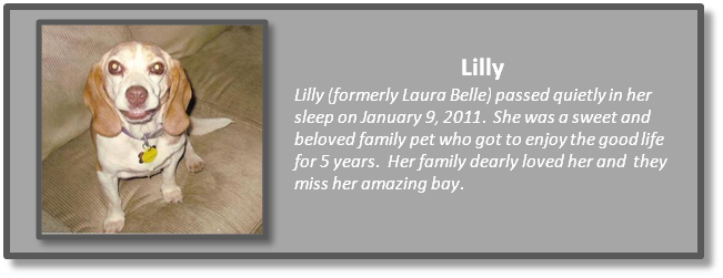 Lilly (formerly Laura Belle)